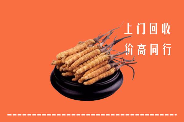 高价求购：长治回收散虫草