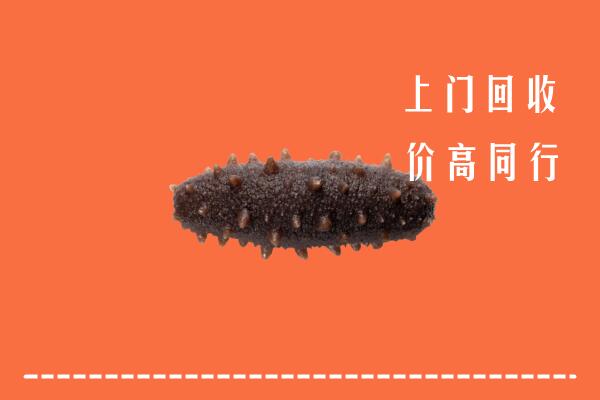 长治回收海参
